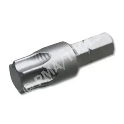 [1031000025] Torx Bit insert TX 55 