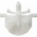 Opel Astra H 04-10, WS Fastener, for waterpanel, white 